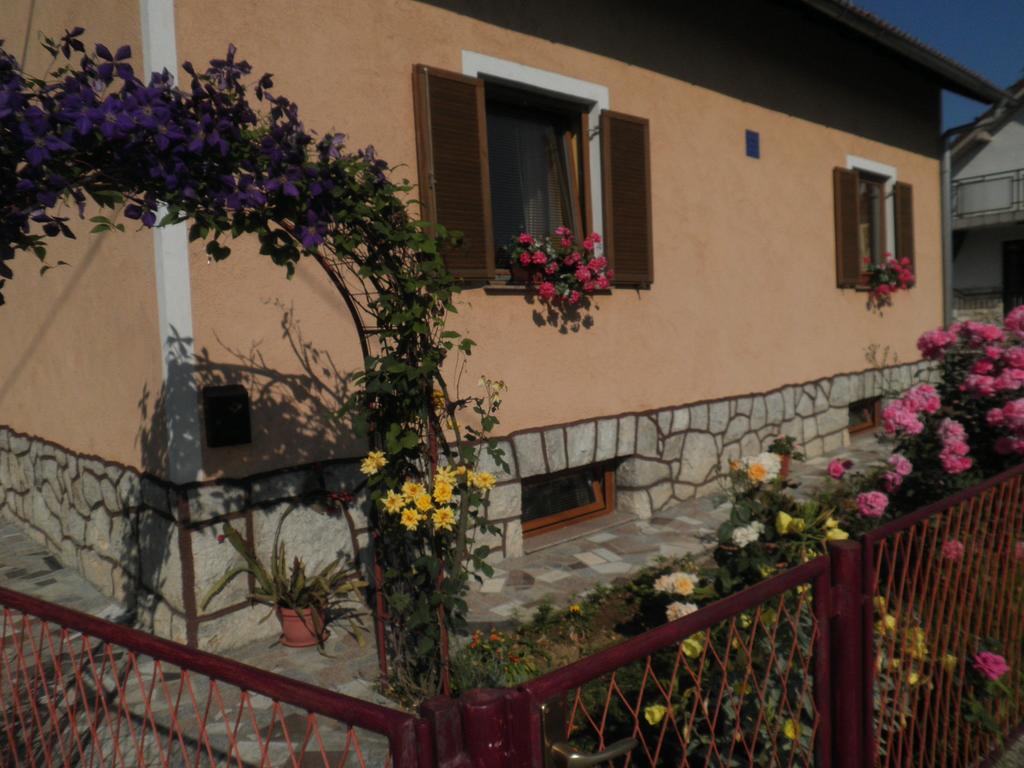 Apartment Tomasevic Slunj Værelse billede